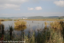 auf dem Damm zur Insel Reichenau