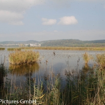 auf dem Damm zur Insel Reichenau