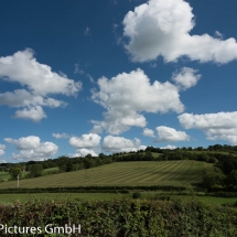 Sommerlandschaft